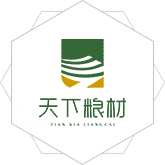 美女在线搞机免费视频